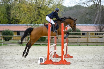 photo de Gaillard