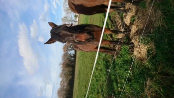 photo de Milie de Sem