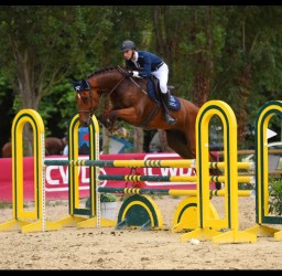 photo de Zazou Blue Z