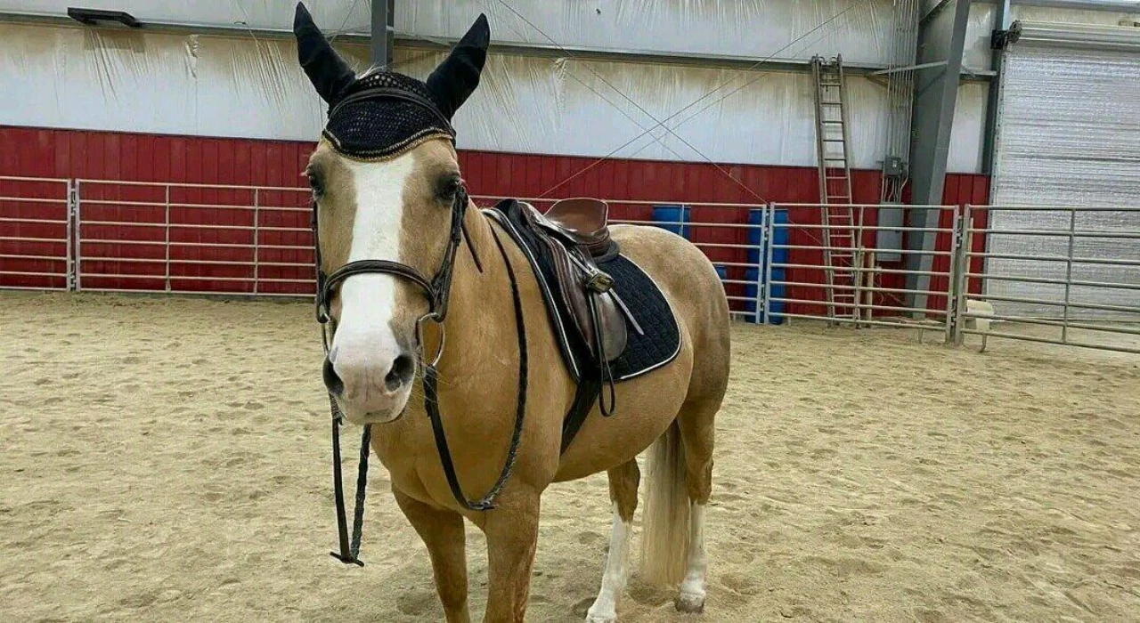 Bubba Goodbar  en image de fond