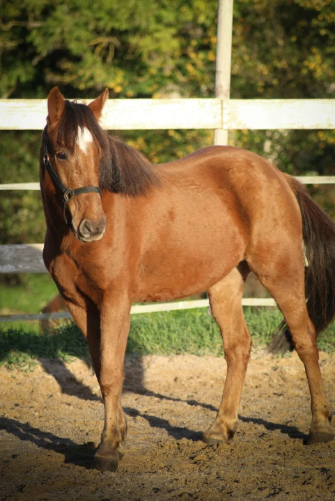 LAGUN DE LIXKETA  en image de fond