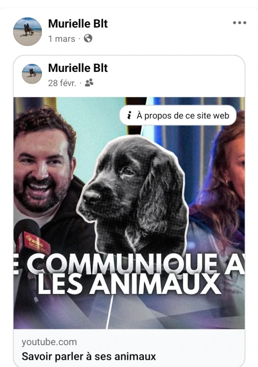 Pensée de Pascade dit fifille 